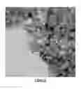 Fig. 03 - Method of Forming a Gel Having Improved Thermal Stability