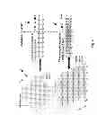 Fig. 06 - ORDERED STACKED SHEETS OF LAYERED INORGANIC COMPOUNDS, NANOSTRUCTURES COMPRISING THEM, PROCESSES FOR THEIR PREPARATION AND USES THEREOF
