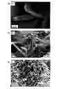 Fig. 08 - ORDERED STACKED SHEETS OF LAYERED INORGANIC COMPOUNDS, NANOSTRUCTURES COMPRISING THEM, PROCESSES FOR THEIR PREPARATION AND USES THEREOF