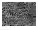 Fig. 01 - Biaxially oriented microporous membrane