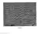 Fig. 04 - Biaxially oriented microporous membrane