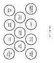 Fig. 34 - Systems and methods for customized lesson creation and application