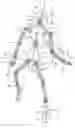 Fig. 01 - MODEL