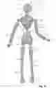 Fig. 09 - MODEL