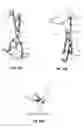 Fig. 20 - MODEL