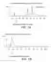 Fig. 02 - METHODS, COMPOSITIONS, AND DEVICES UTILIZING MicroRNA TO DETERMINE PHYSIOLOGICAL CONDITIONS