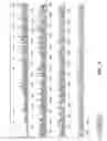Fig. 05 - POLYELECTROLYTE-COATED SIZE-EXCLUSION ION-EXCHANGE PARTICLES