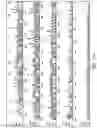 Fig. 32 - POLYELECTROLYTE-COATED SIZE-EXCLUSION ION-EXCHANGE PARTICLES