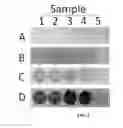 Fig. 06 - Compositions Having Dicamba Decarboxylase Activity and Methods of Use