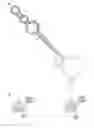 Fig. 01 - Slide chip for detection sensor of food-borne pathogens and preparation method thereof