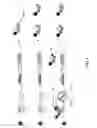 Fig. 02 - Antibody and antibody mimetic for visualization and ablation of endogenous proteins