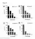 Fig. 19 - MEANS AND METHODS FOR DETERMINING CLOSTRIDIAL NEUROTOXINS