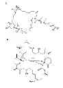 Fig. 03 - Methods for natural product optimization