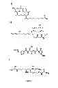 Fig. 04 - Methods for natural product optimization