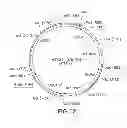 Fig. 22 - ENGINEERED PICHIA STRAINS WITH IMPROVED FERMENTATION YIELD AND N-GLYCOSYLATION QUALITY