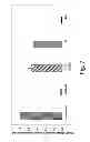 Fig. 08 - Methods For Eliminating Or Reducing The Expression Of A Gene In A Filamentous Fungal Strain