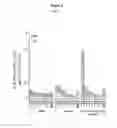 Fig. 07 - HBV polymerase mutants