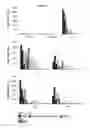 Fig. 14 - HBV polymerase mutants