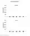 Fig. 17 - HBV polymerase mutants