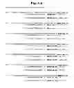 Fig. 07 - Methods and compositions for enhancing the efficacy and specificity of single and double blunt-ended siRNA
