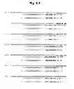 Fig. 08 - Methods and compositions for enhancing the efficacy and specificity of single and double blunt-ended siRNA