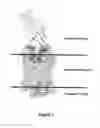 Fig. 02 - Ligands for the GLP-1 Receptor and Methods for Discovery Thereof