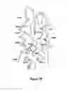 Fig. 04 - Ligands for the GLP-1 Receptor and Methods for Discovery Thereof