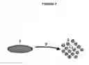 Fig. 03 - HUMAN DISC TISSUE