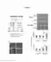 Fig. 08 - Use of Zscan4 and Zscan4-dependent genes for direct reprogramming of somatic cells