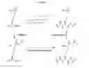 Fig. 04 - INCORPORATION OF METHYL LYSINE INTO POLYPEPTIDES
