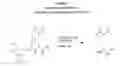 Fig. 05 - INCORPORATION OF METHYL LYSINE INTO POLYPEPTIDES