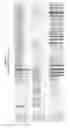 Fig. 14 - INCORPORATION OF METHYL LYSINE INTO POLYPEPTIDES
