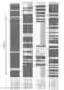 Fig. 20 - INCORPORATION OF METHYL LYSINE INTO POLYPEPTIDES
