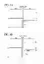 Fig. 02 - Light-emitting device and method for manufacturing light-emitting device