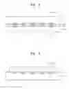 Fig. 02 - Methods of forming bump and semiconductor device with the same
