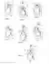 Fig. 04 - Vertical pumping apparatus and method for distribution mercury in a pumping and lamp gas-filling process