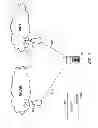 Fig. 04 - Selecting a network node based on precedence of network policies