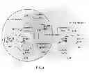 Fig. 02 - Offloading mobile applications to base stations