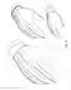 Fig. 02 - Therapeutic Gloves