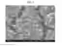 Fig. 03 - Aggregated graphene oxide and preparing method thereof, aggregated graphene and preparing method thereof, and aggregated and nitrogen-doped graphene and preparing method thereof
