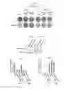 Fig. 07 - METHODS AND COMPOSITIONS FOR PREDICTING RESISTANCE TO ANTICANCER TREATMENT
