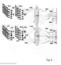 Fig. 04 - Optical microscopy with phototransformable optical labels