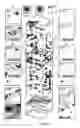 Fig. 05 - Optical microscopy with phototransformable optical labels
