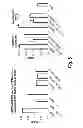 Fig. 06 - ASSAY FOR SHIP1 EXPRESSION, ACTIVITY AND SEQUENCE ALTERATIONS AS A PREDICTOR OF INFLAMMATORY BOWEL DISEASE RISK