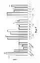 Fig. 08 - ASSAY FOR SHIP1 EXPRESSION, ACTIVITY AND SEQUENCE ALTERATIONS AS A PREDICTOR OF INFLAMMATORY BOWEL DISEASE RISK
