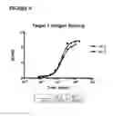 Fig. 10 - PROTOCOL FOR IDENTIFYING AND ISOLATING ANTIGEN-SPECIFIC B CELLS AND PRODUCING ANTIBODIES TO DESIRED ANTIGENS
