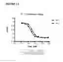 Fig. 12 - PROTOCOL FOR IDENTIFYING AND ISOLATING ANTIGEN-SPECIFIC B CELLS AND PRODUCING ANTIBODIES TO DESIRED ANTIGENS