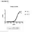 Fig. 13 - PROTOCOL FOR IDENTIFYING AND ISOLATING ANTIGEN-SPECIFIC B CELLS AND PRODUCING ANTIBODIES TO DESIRED ANTIGENS