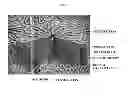 Fig. 02 - Engineered liver tissues, arrays thereof, and methods of making the same