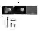 Fig. 04 - Engineered liver tissues, arrays thereof, and methods of making the same